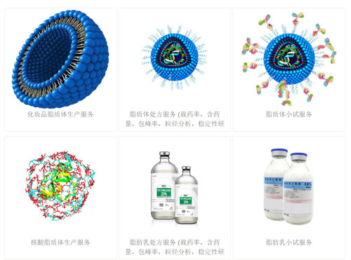 浙江微流纳米业务简况