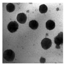 MA - SLN透射电镜图（×100000倍）