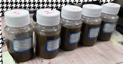 处理后样品外观