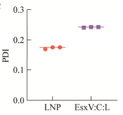 LNP PDI值 LNP PDI值