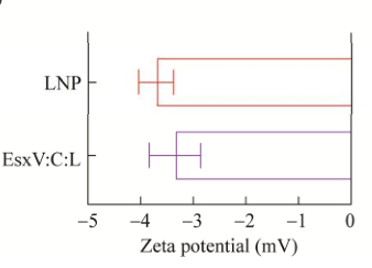 LNP Zeta电势 LNP Zeta电势